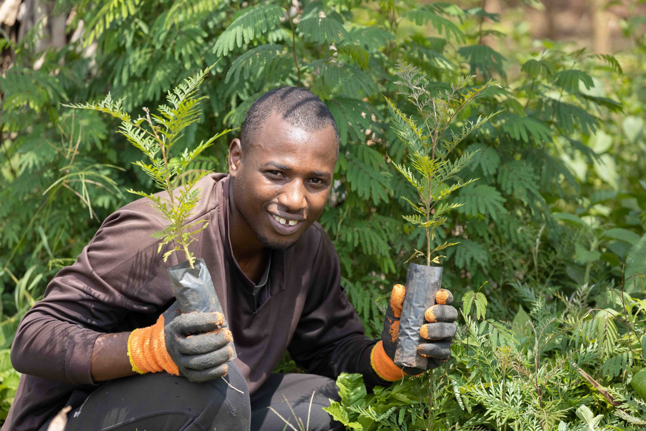 Biodiversity and Climate change
